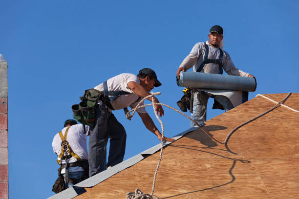 Best Gutter Installation and Roofing  in Providence Village, TX